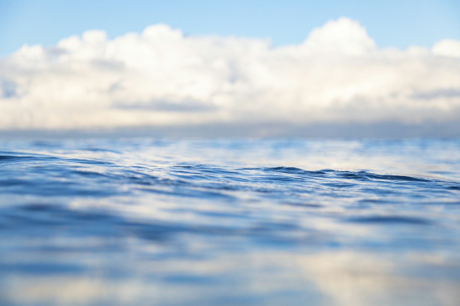 Horizon de mer calme sous un ciel bleu